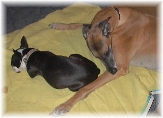 Sleeping
