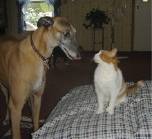 Rusty & Molly