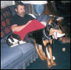 Monty on sofa