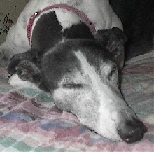 sleeping