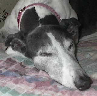 sleeping