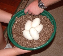 First Clutch of the Year!