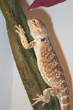 Just lounging around