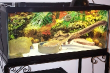 Arwen with new substrate