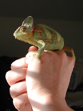 Steve in the sun.