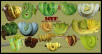 collage of gtps