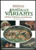 cool book about colors and patterns