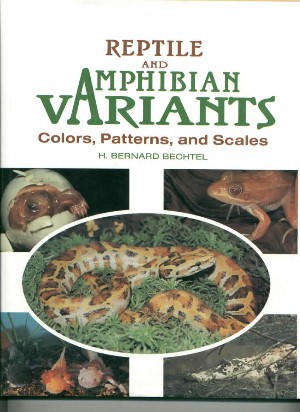 cool book about colors and patterns