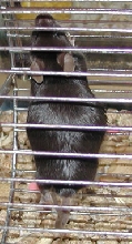 Top view
