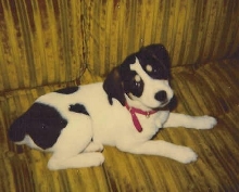 Mitzi 1992