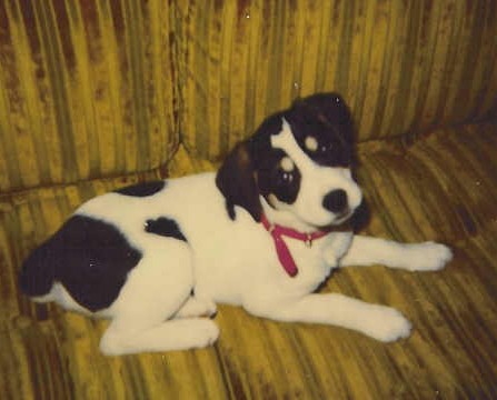 Mitzi 1992
