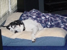 Mitzi 2003