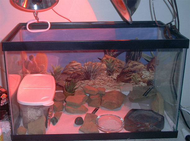 Pandora's setup