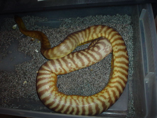 twisted 1