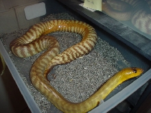 twisted 2