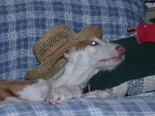 Redneck