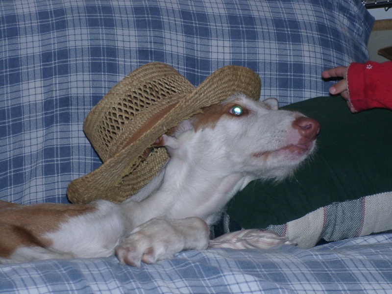 Redneck