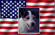 All American Chance