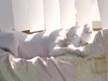 Tina sleeping