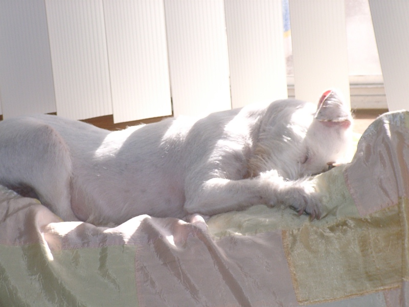 Tina sleeping
