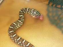 yummy