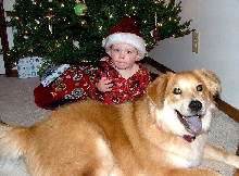 boy and dog
