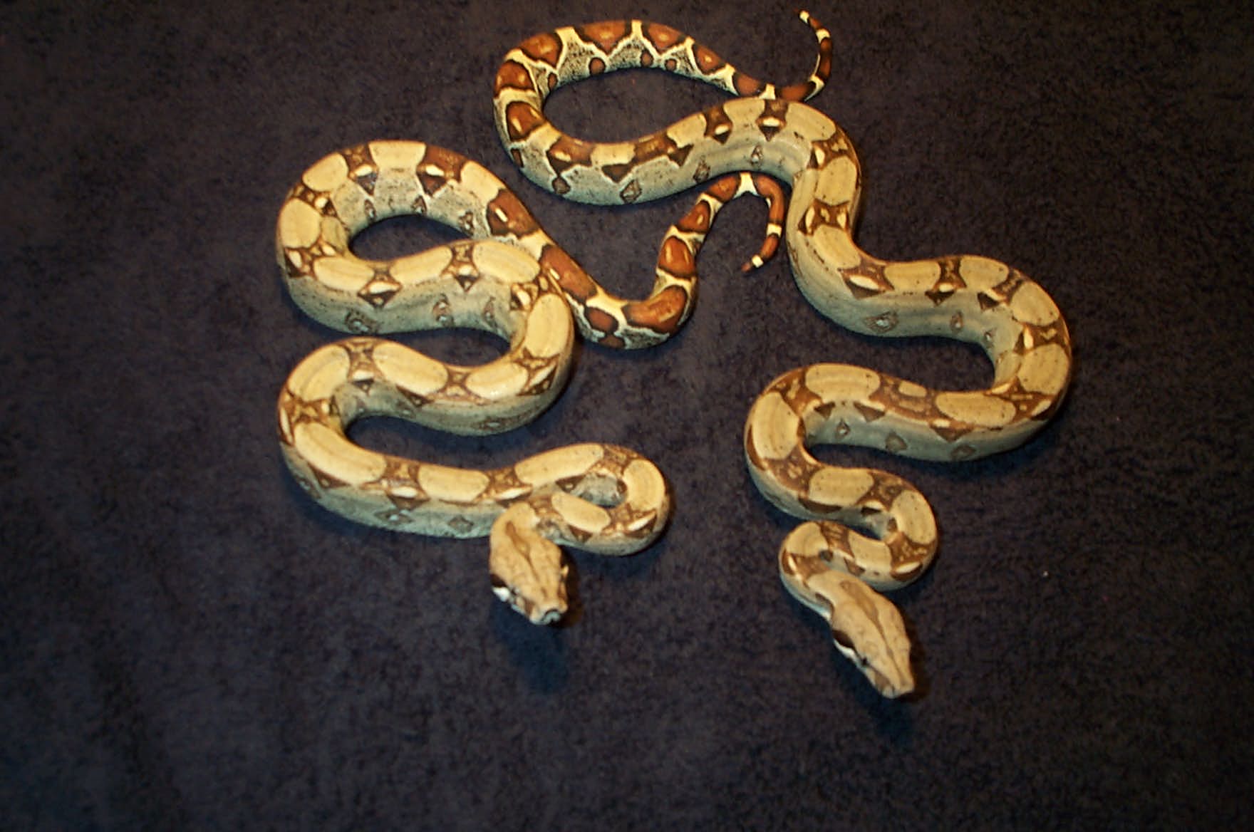 Pair of Hets