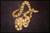 HetAneryPair