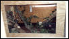 vivarium