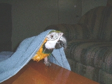 Bath time
