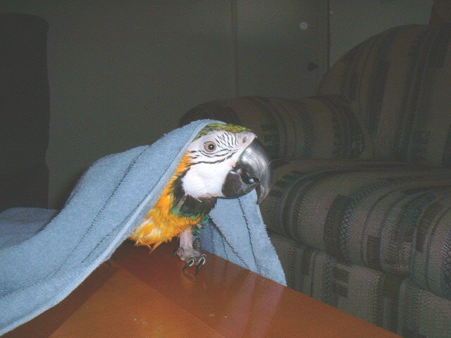 Bath time