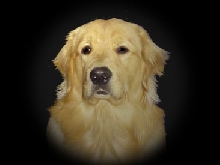 Simon 9 months