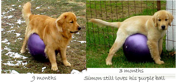 Loves that Ball
