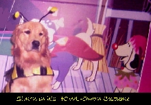 HOWL-a-ween
