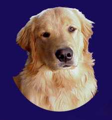 Golden Boy