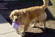 Carrying Easter Basket