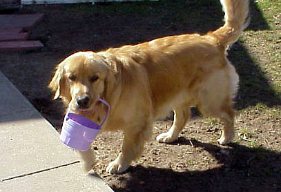 Carrying Easter Basket