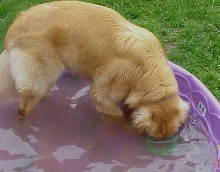 I like the Water