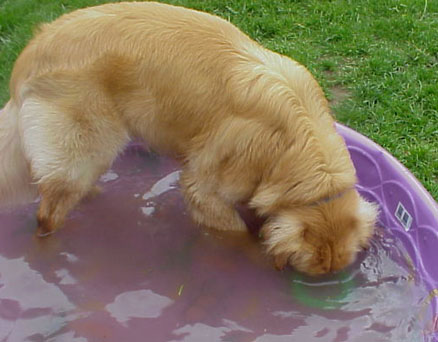 I like the Water