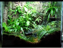 vivarium