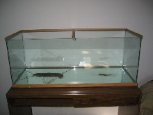 empty tank