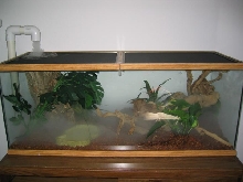 Complete Tokay Tank