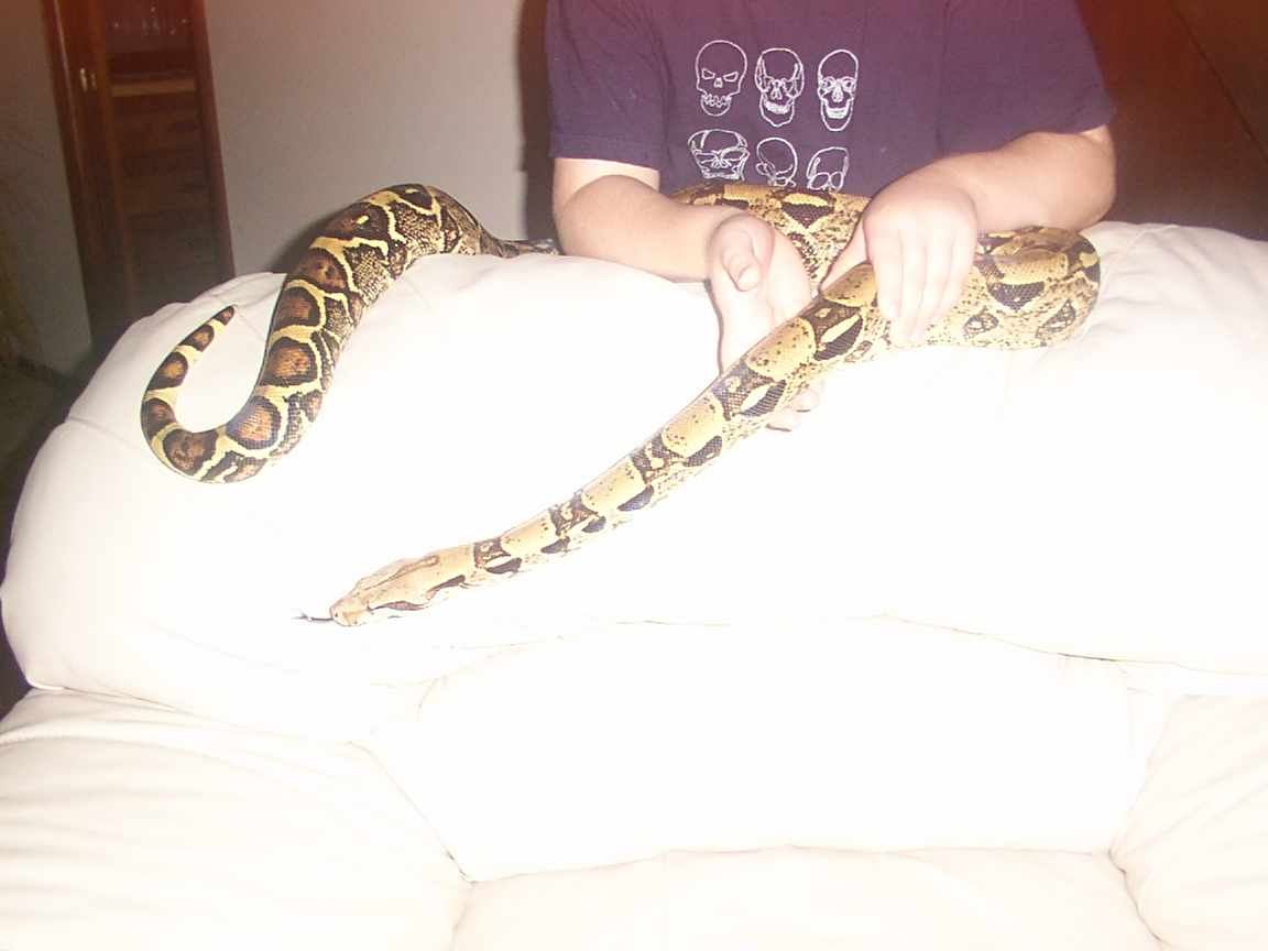 Bubba