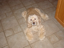 Charlie