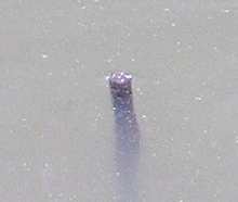 What is this in the water?