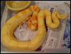 Albino Het Stripe