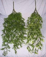 Plastic plants