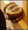 07-29-03-KayB