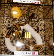 NARBC09