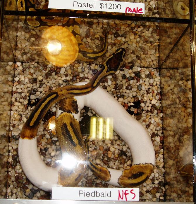 NARBC09